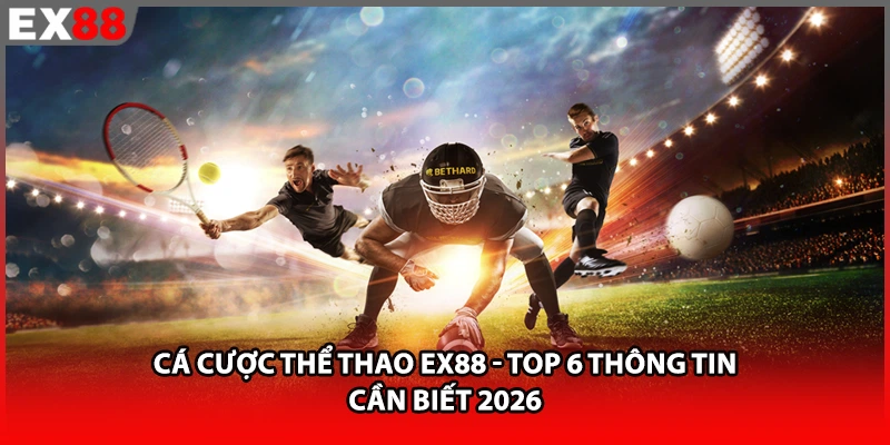 Cá Cược Thể Thao EX88 | Top 6 Thông Tin Cần Biết 2026