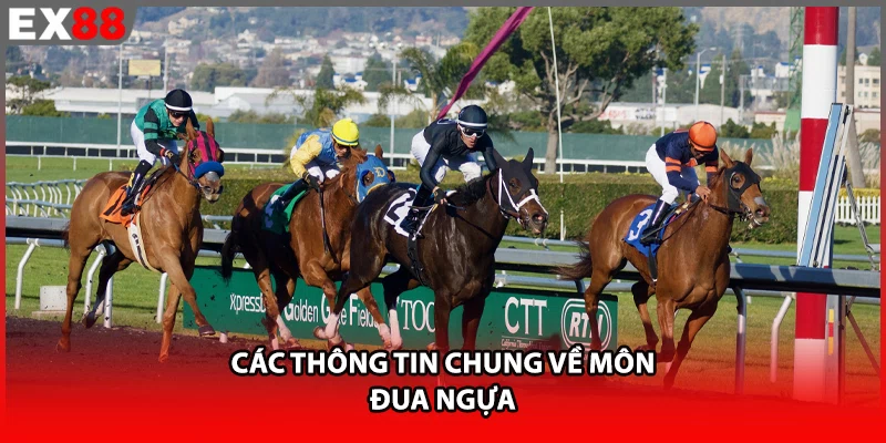 Các thông tin chung về môn đua ngựa