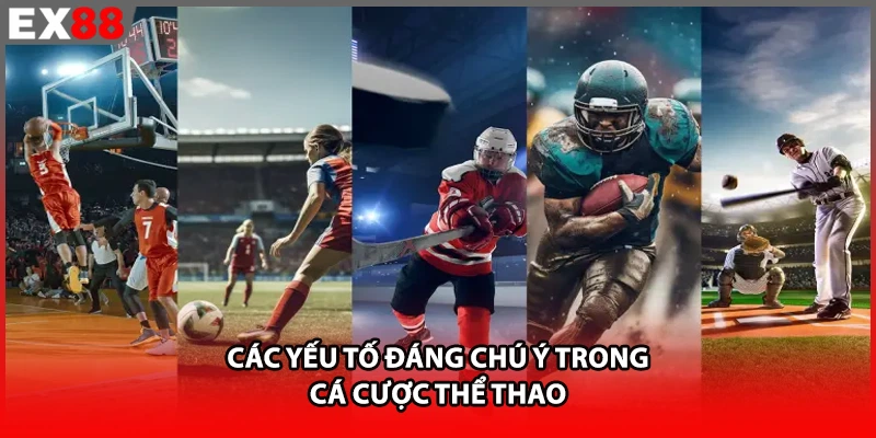 Các yếu tố đáng chú ý trong cá cược thể thao