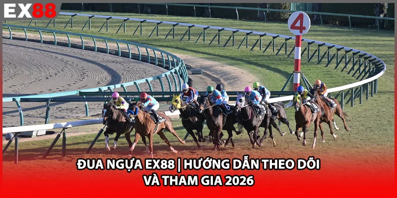 Đua Ngựa EX88 | Hướng Dẫn Theo Dõi Và Tham Gia 2026