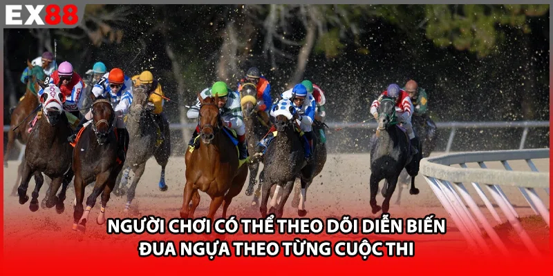 Người chơi có thể theo dõi diễn biến đua ngựa theo từng cuộc thi