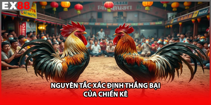 Nguyên tắc xác định thắng bại của chiến kê