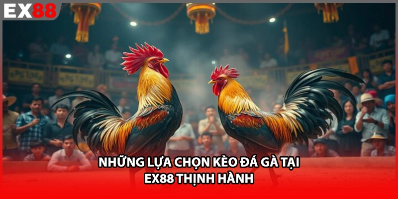 Những lựa chọn kèo đá gà tại EX88 thịnh hành