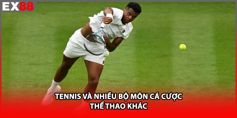 Tennis và nhiều bộ môn cá cược thể thao khác