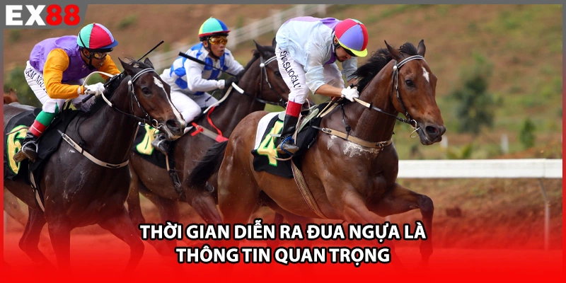 Thời gian diễn ra đua ngựa là thông tin quan trọng