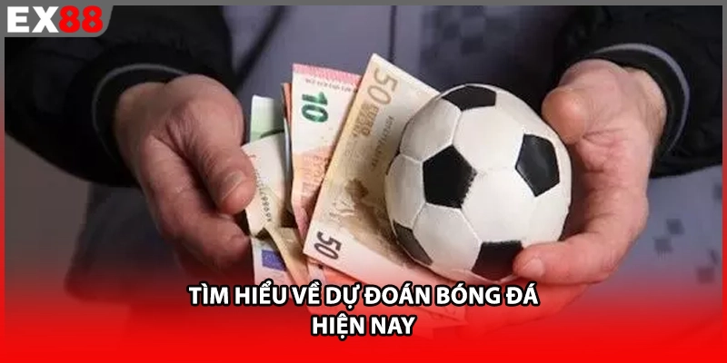 Tìm hiểu về dự đoán bóng đá hiện nay
